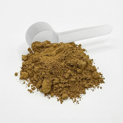 Mushroom Fuse Instant Coffee (Medium Roast)
